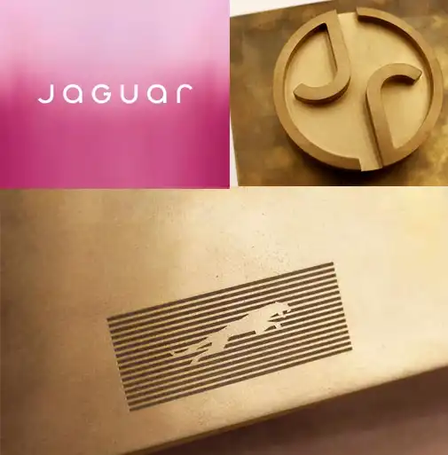 new-logo-jaguar-rebrand-new-logo-best-graphic-designer-in-trivandrum