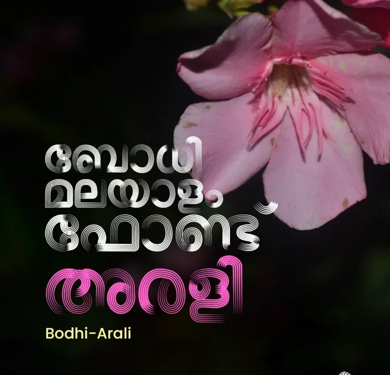 New & Fresh Malayalam Fonts for Title Designs from Bodhi!